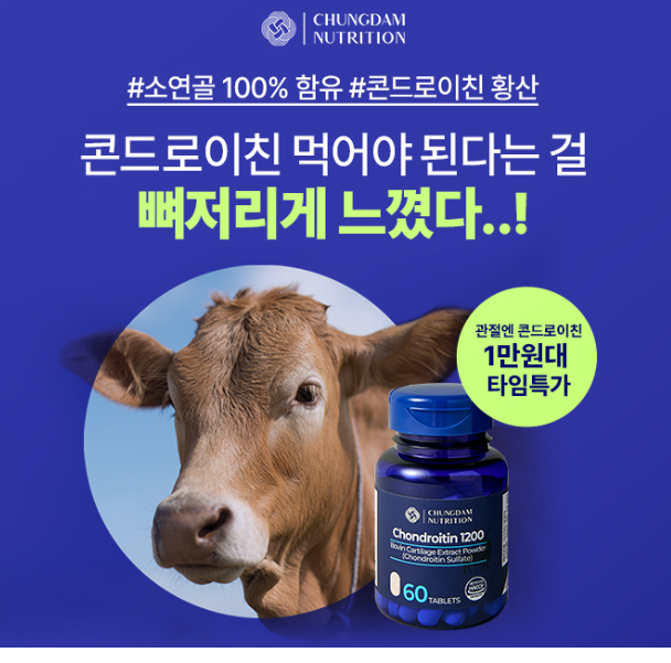 캐시닥 콘드로이친 퀴즈 썸네일