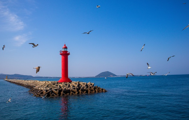 제주도 렌트카&amp;#44; 돌하루팡 렌트카 가격&amp;#44; 쿠폰