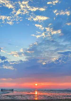 많은 엄마들이 놓치는, 육아하면서 의욕이 사라지는 진짜 이유