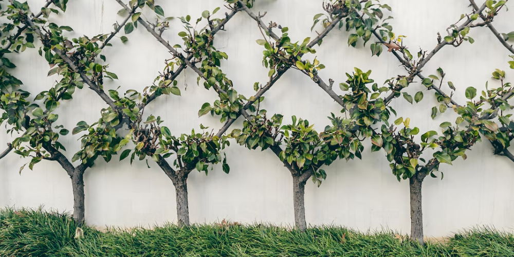 을목 일주와 육을서귀격