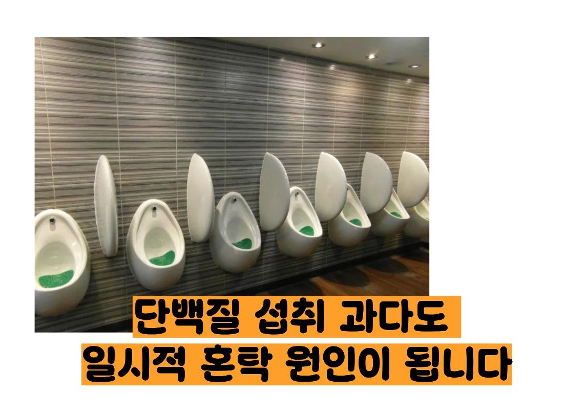 오줌이 탁한이유