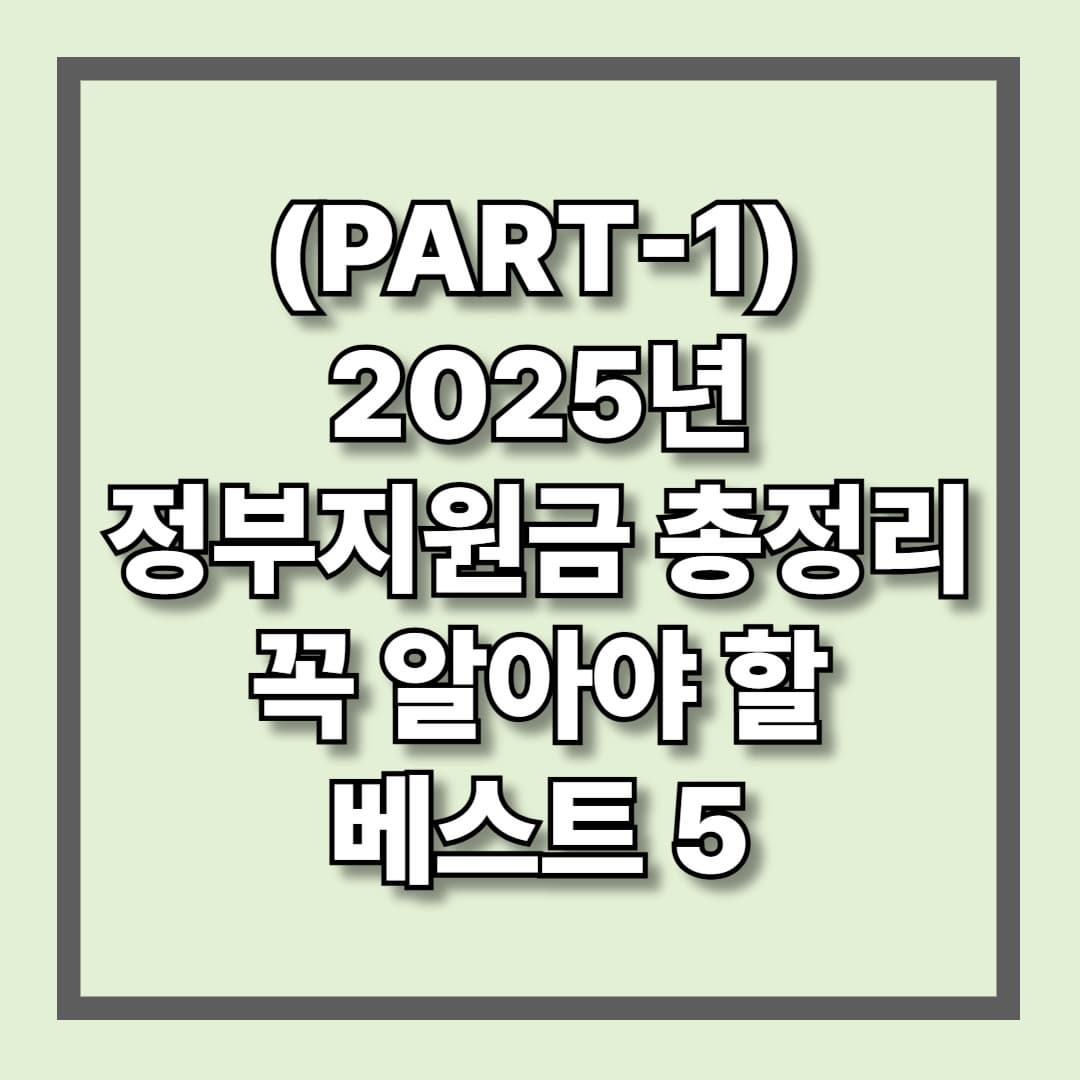 2025년 정부지원금 총정리 꼭 알아야 할 베스트5