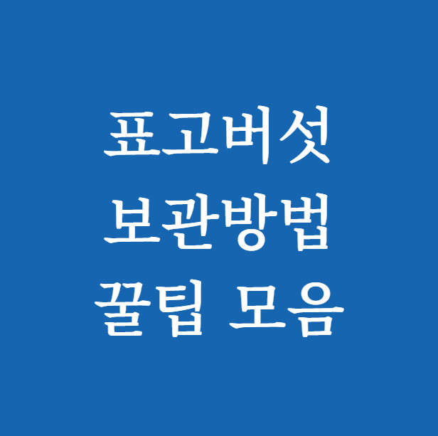 표고버섯 보관방법 썸네일
