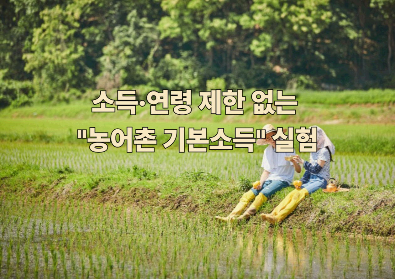 소득·연령 제한 없는 "농어촌 기본소득" 실험 - 지금 알아야 할 정부 정책과 실생활 영향