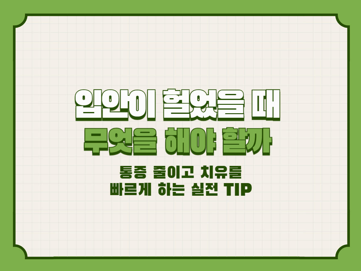 입안이 헐었을 때 무엇을 해야 할까 &ndash; 통증 줄이고 치유를 빠르게 하는 실전 TIP