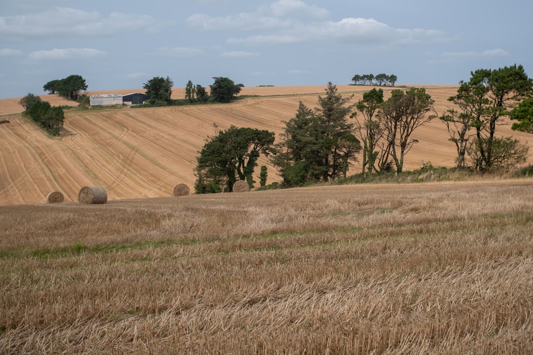 Agricultural.