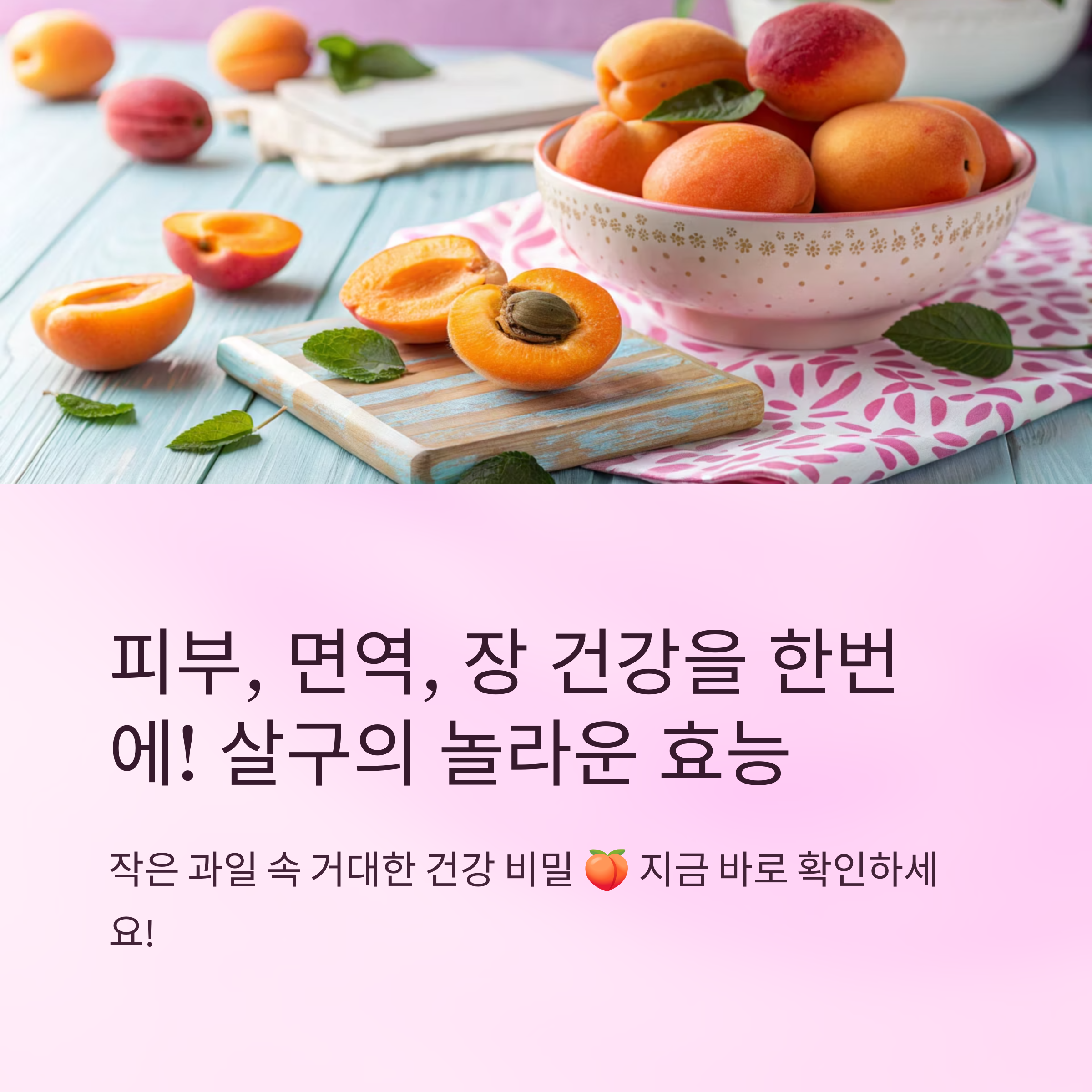 살구효능 피부면역장건강에 좋은 이유