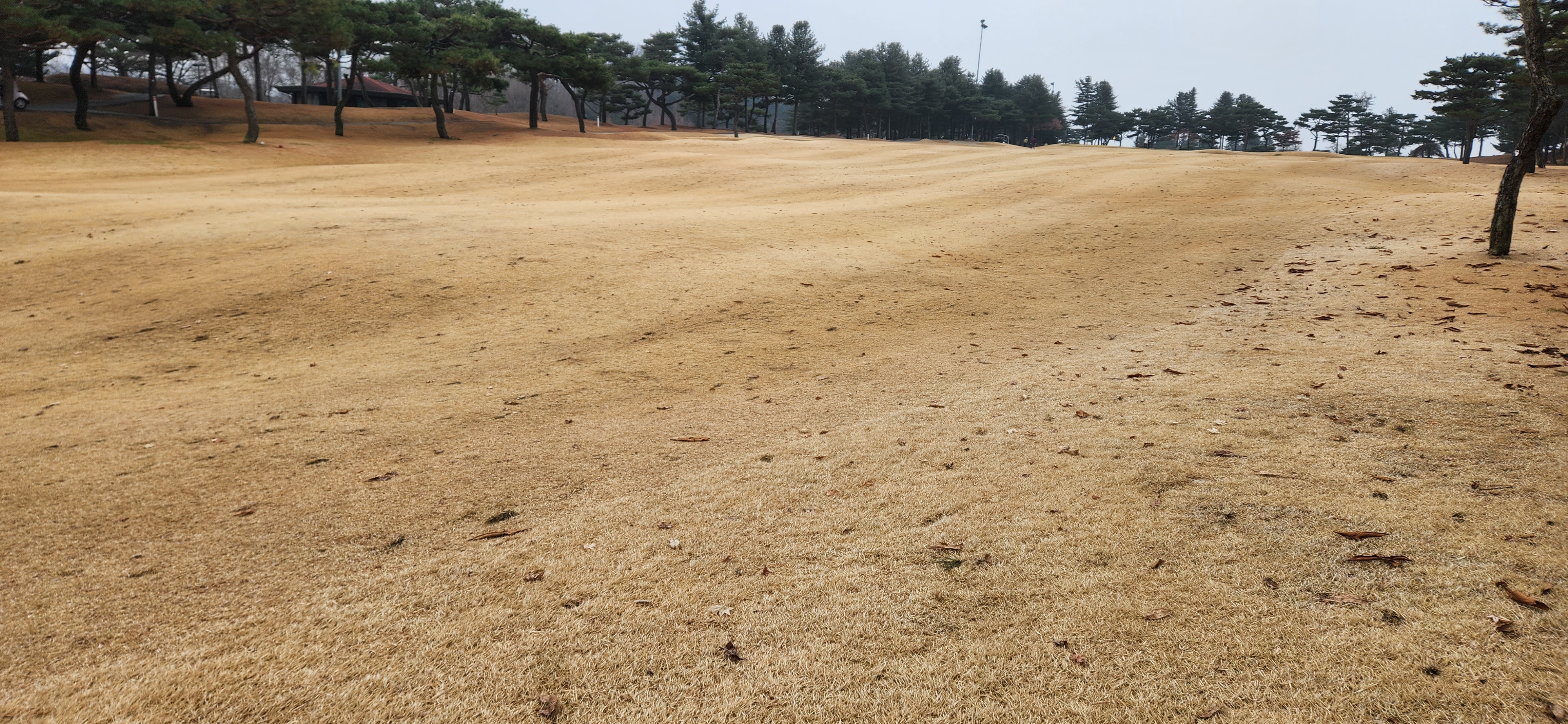 임페리얼레이크cc