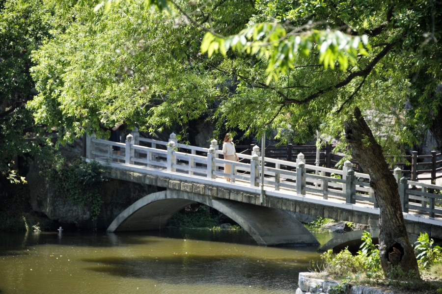 함안 괴항마을 무진정