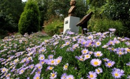 목원 목련축제(2025) 예약 및 여행코스 관련 사진