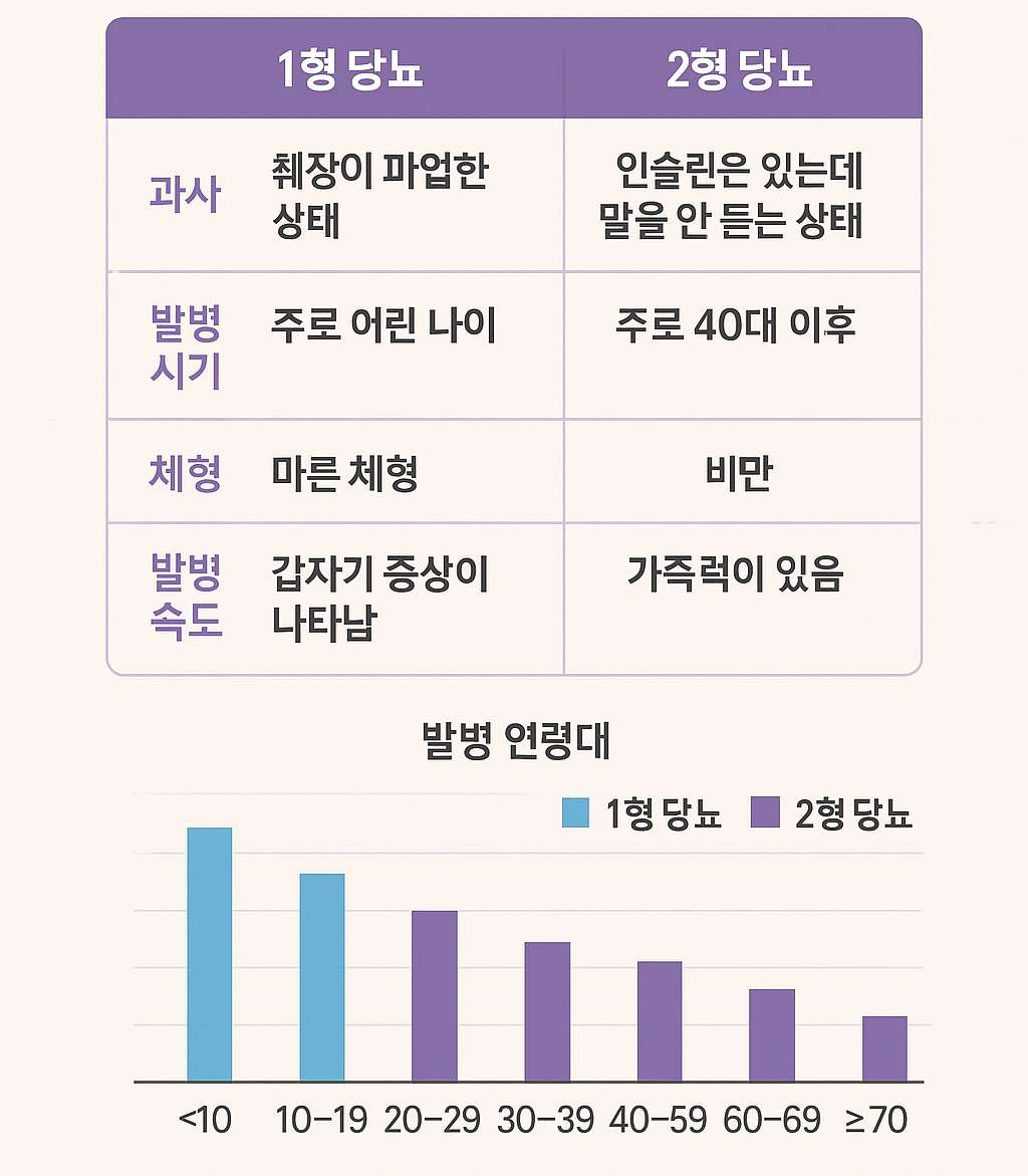 1형당뇨2형당뇨비교