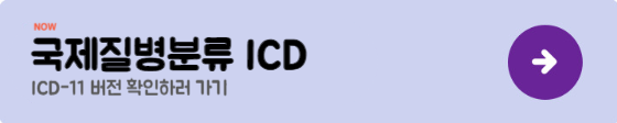 ICD-11 버전