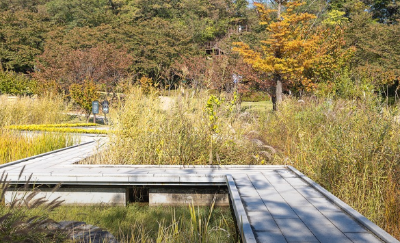 서울근교나들이