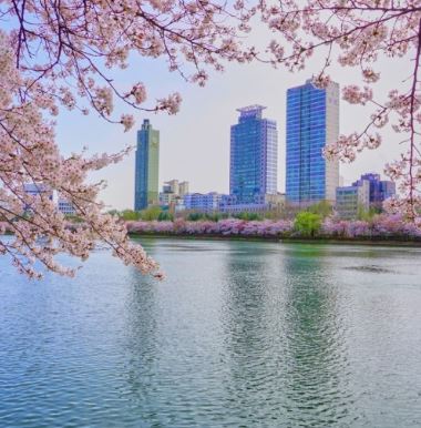 석촌호수 대형 랍스터 롯데월드 10주년 행사 공원 주차장