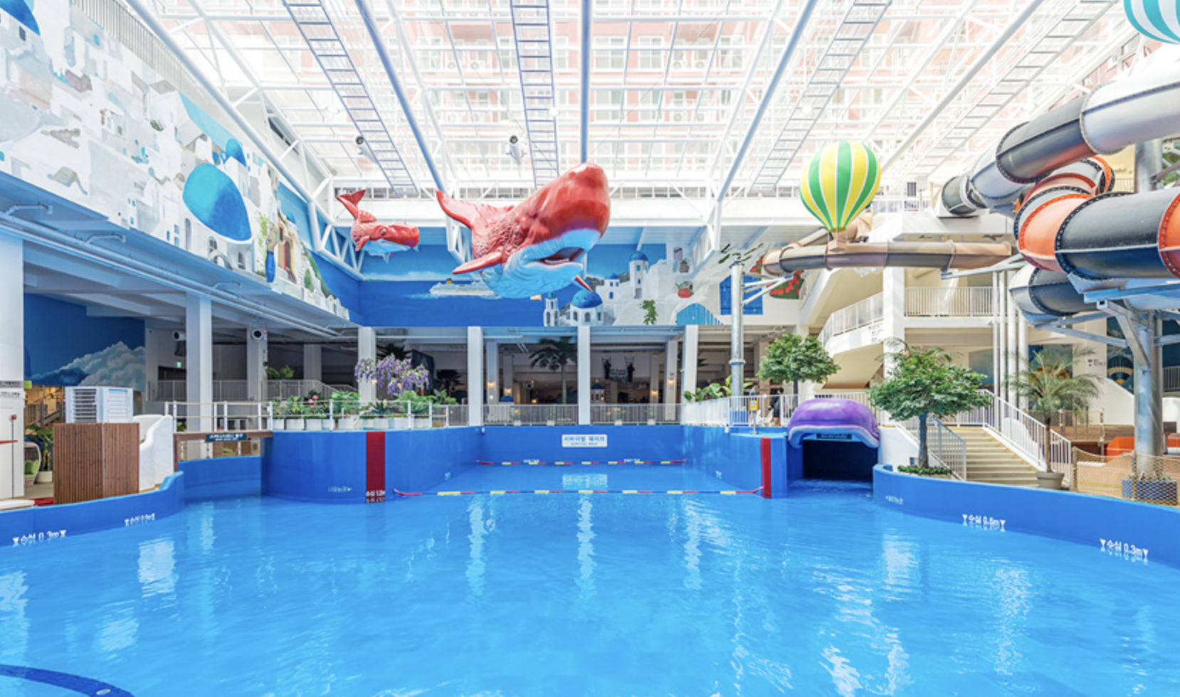 파크하비오워터킹덤워터파크