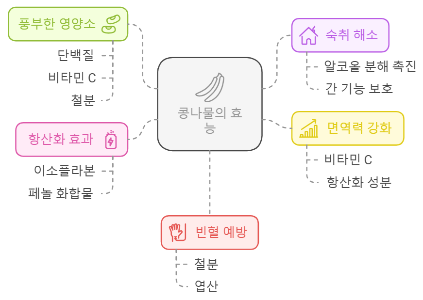 콩나물 효능