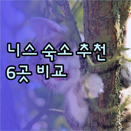 니스 여행 숙소 고민? 6곳 후기와 