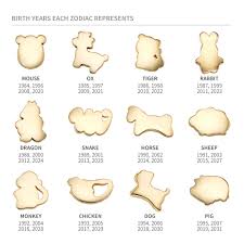 2026년 병오년 원숭이띠 신년운세 정리