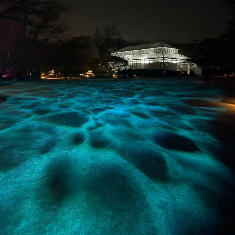 창경궁 야간개장 물빛연화 창경궁 야간개장 인터넷예매 예매 요령_2