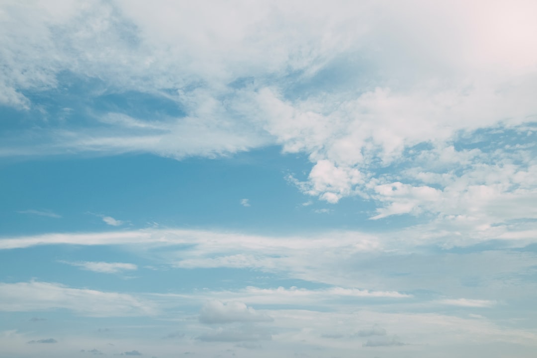 청바지 냄새 없애는 법: 2025년 최신 팁 7가지 관련 이미지 2