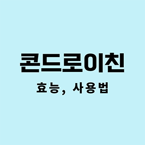 콘드로이친