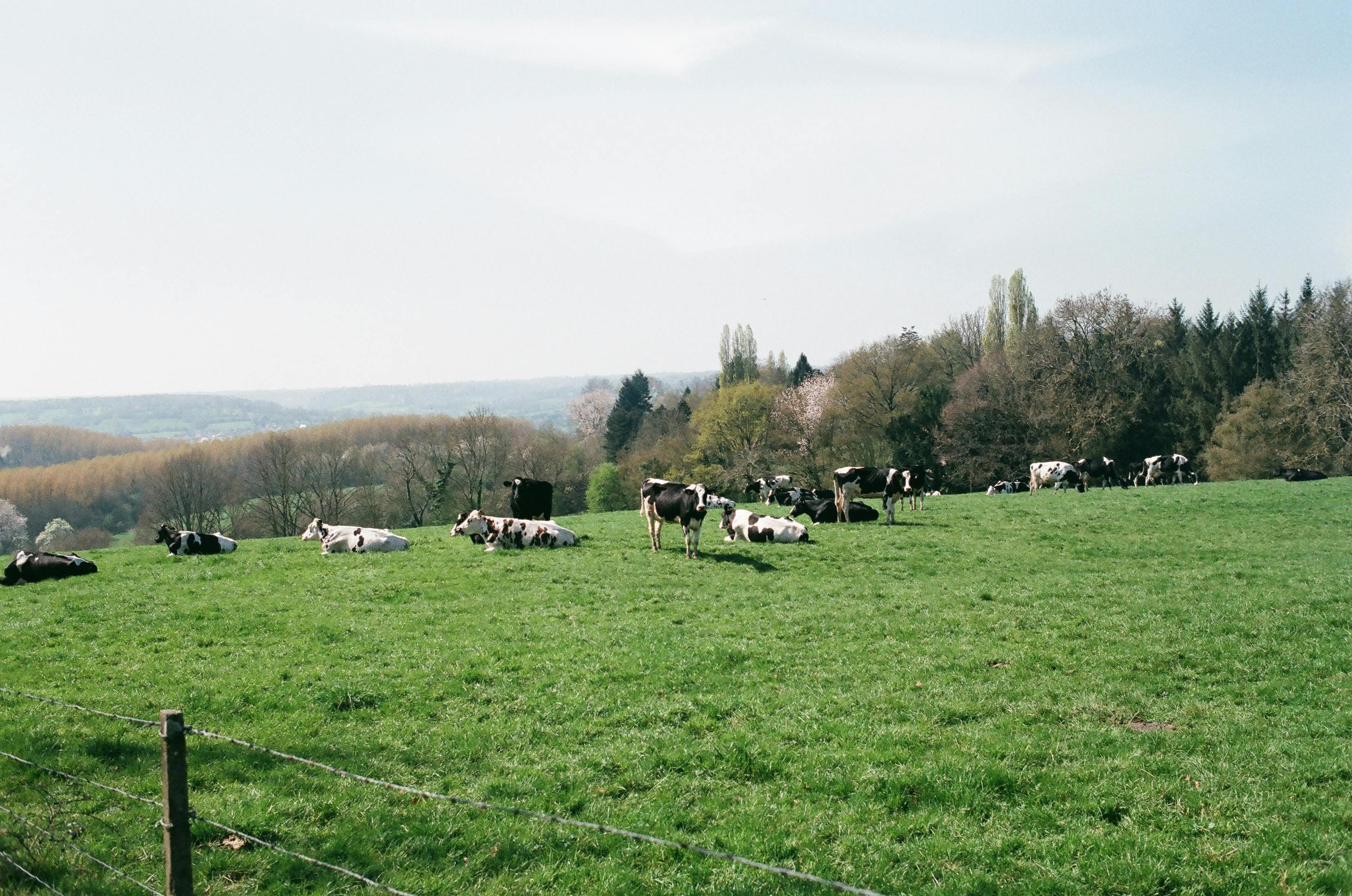중국의 탄소배출규제변화