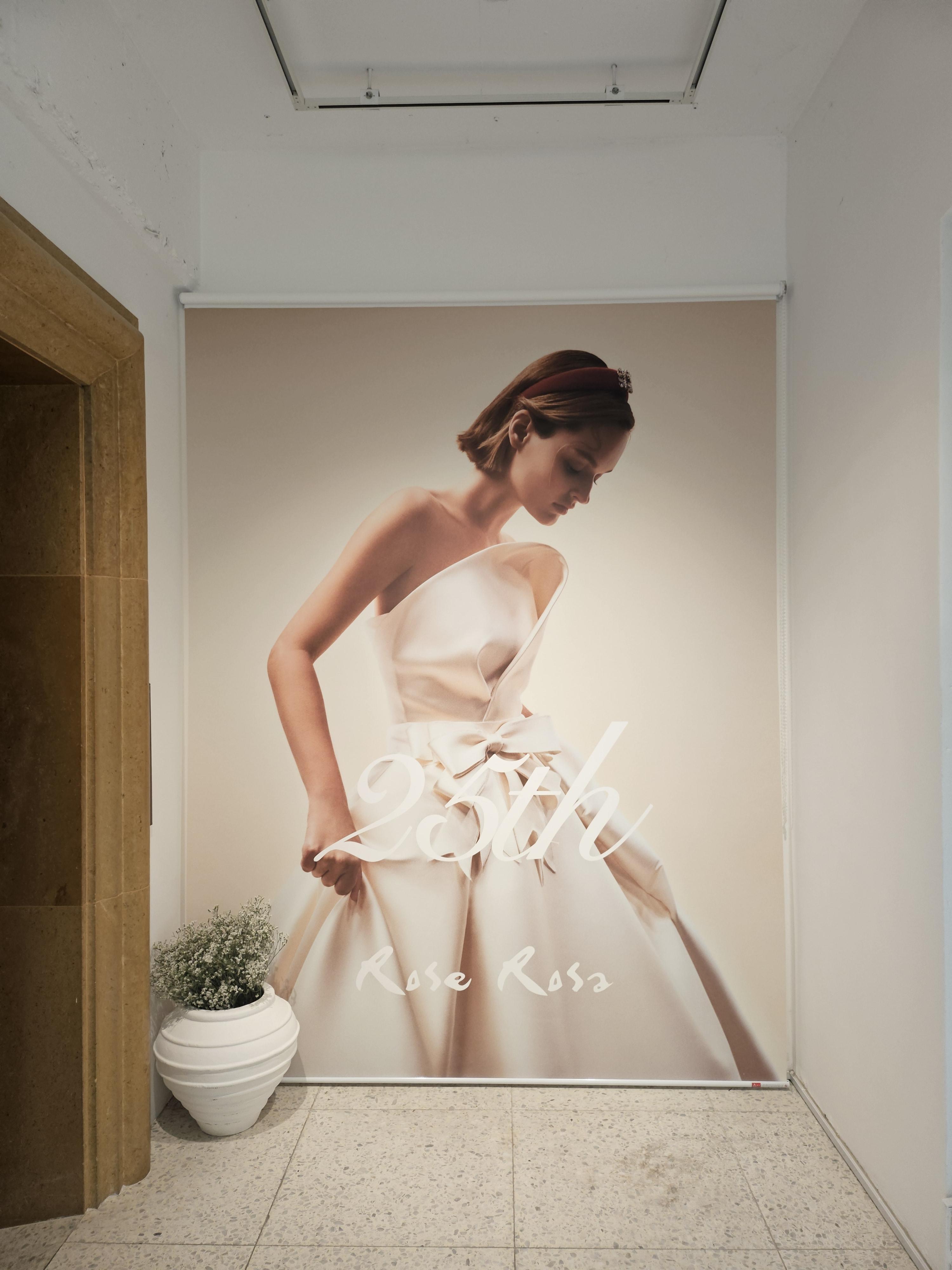 로즈로사 드레스 투어