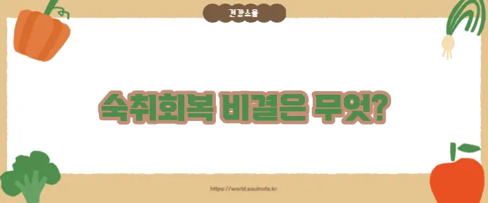 숙취해소에 좋은 음식 (+회복 도움 식품)