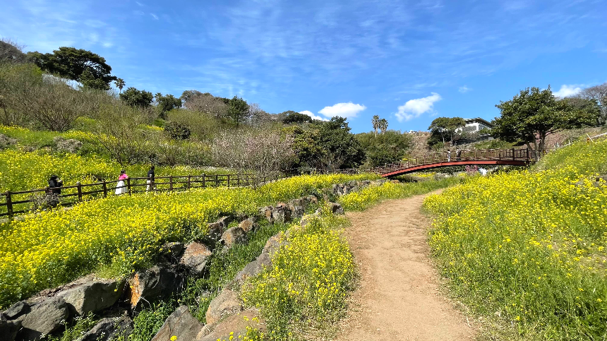 중문 미라지 올라가는 길7