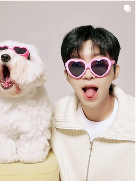 🌟 2025 임영웅 콘서트 완전정복 가이드 (일정, 예매방법 등)