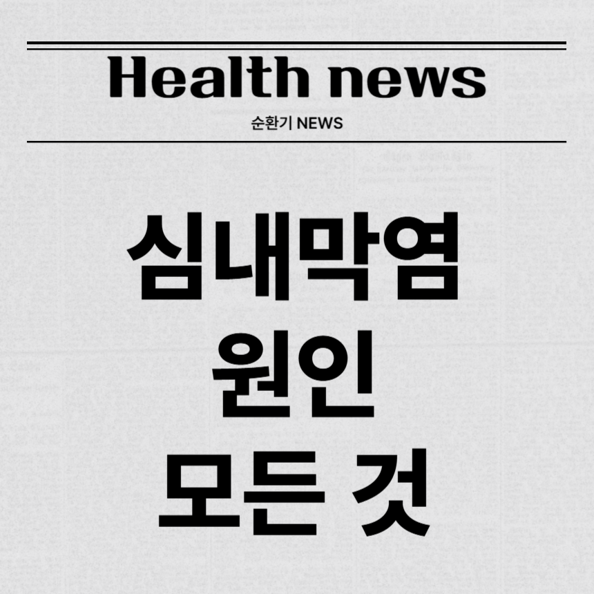 심내막염 원인