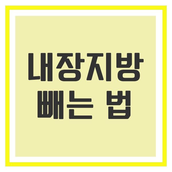 내장지방 빼는 법