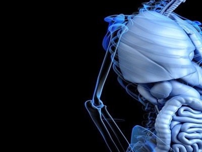 표고버섯 효능 사진13