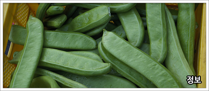 작두콩차-특징,-효능,-부작용