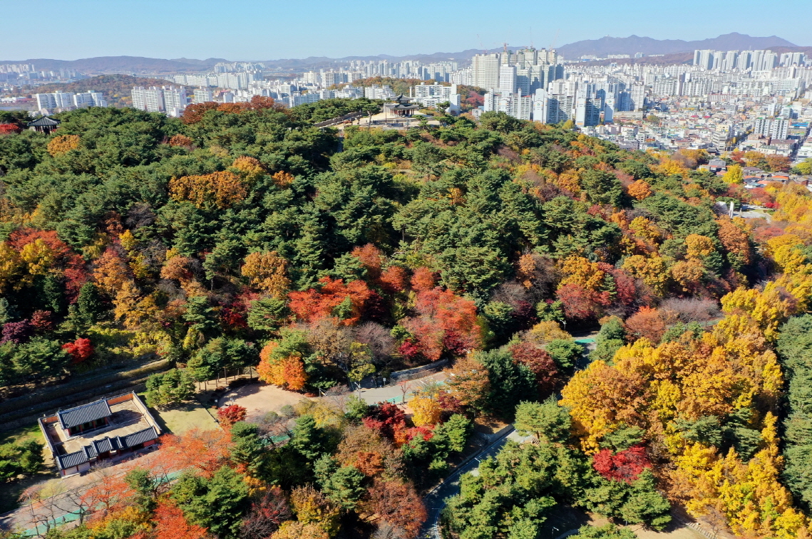 경기도 수원 단풍명소 BEST 07 가을 나들이 가볼만한곳