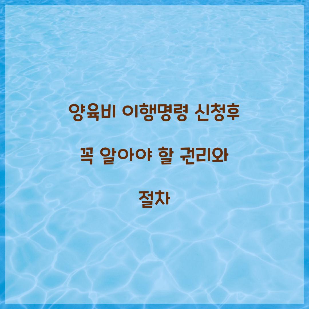 양육비 이행명령 신청후