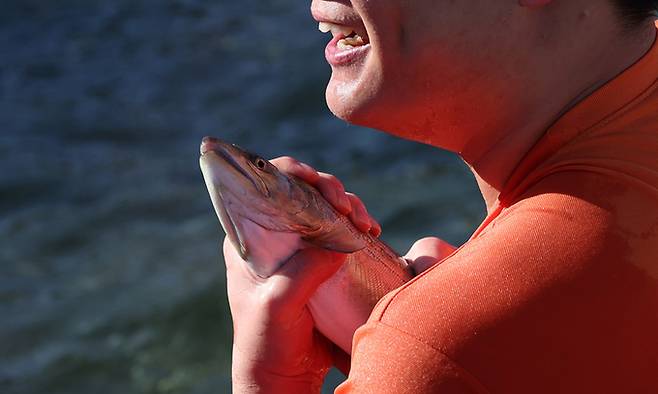 화천 산천어축제 입장료 안내