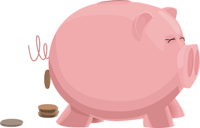 국민연금 납부액 예상수령액 조회