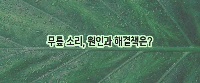 무릎에서 뚝뚝 소리 나는 이유 6가지와 대처법을 알아봐요!