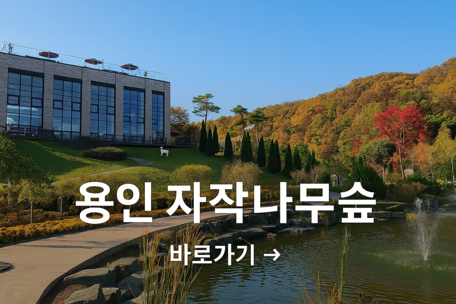 용인 자작나무숲