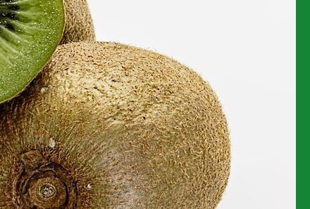 면역력높이는법