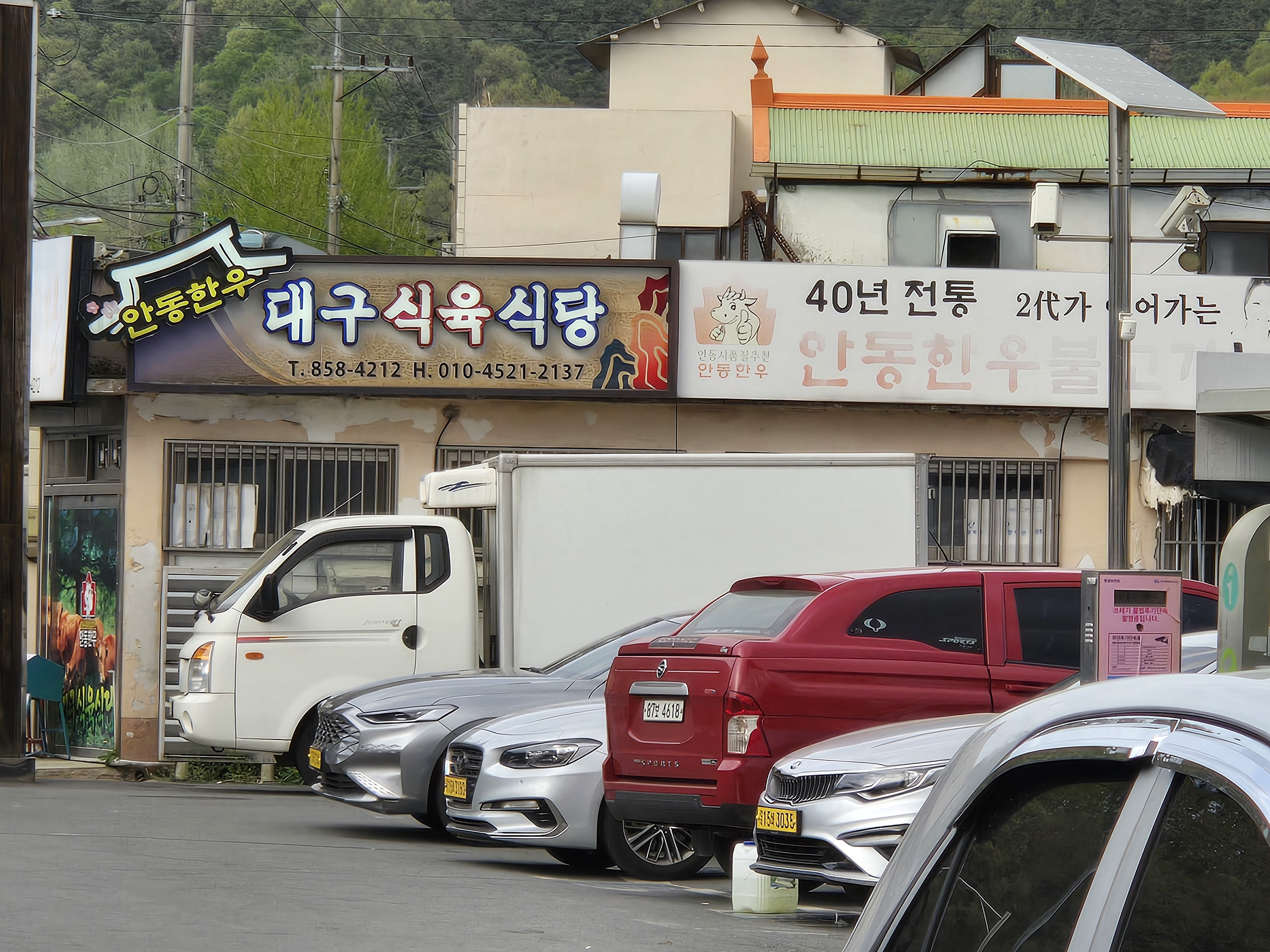 안동 풍산 맛집 대구식육식당