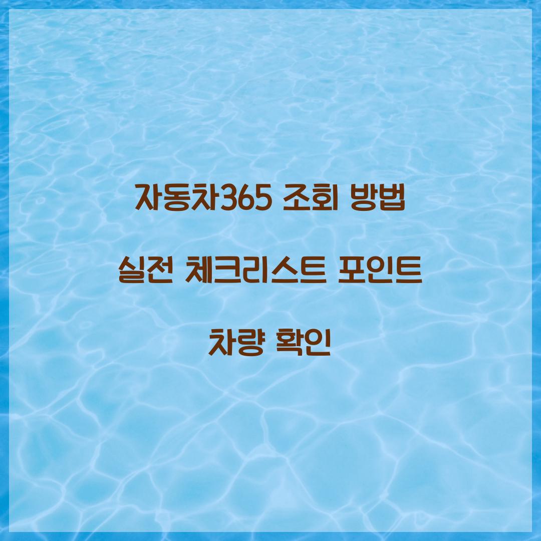 자동차365 조회