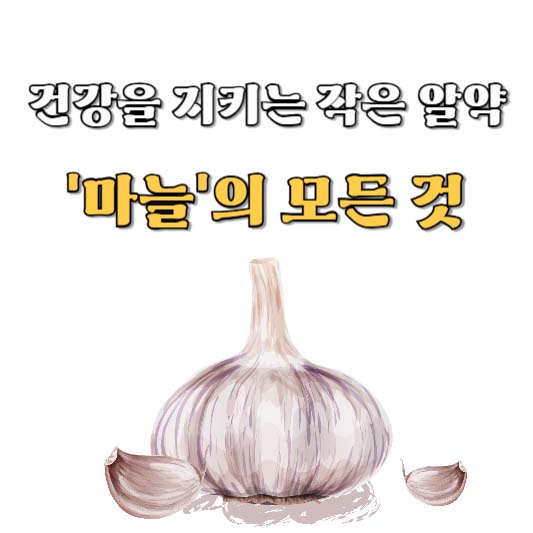 건강을 지키는 작은 알약, '마늘'의 모든 것