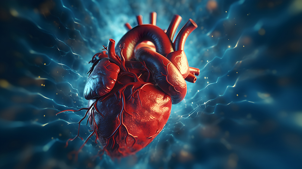 심혈관 질환이란