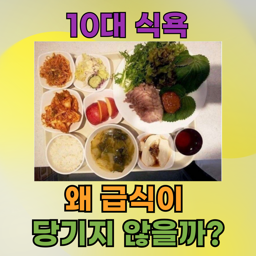 10대 청소년, 급식이 싫은 진짜 이유와 식욕 회복 루틴