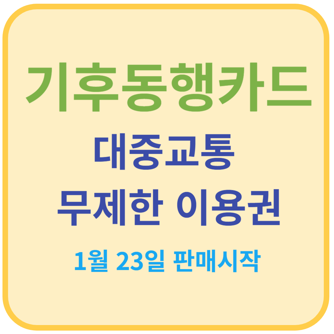 기후동행카드