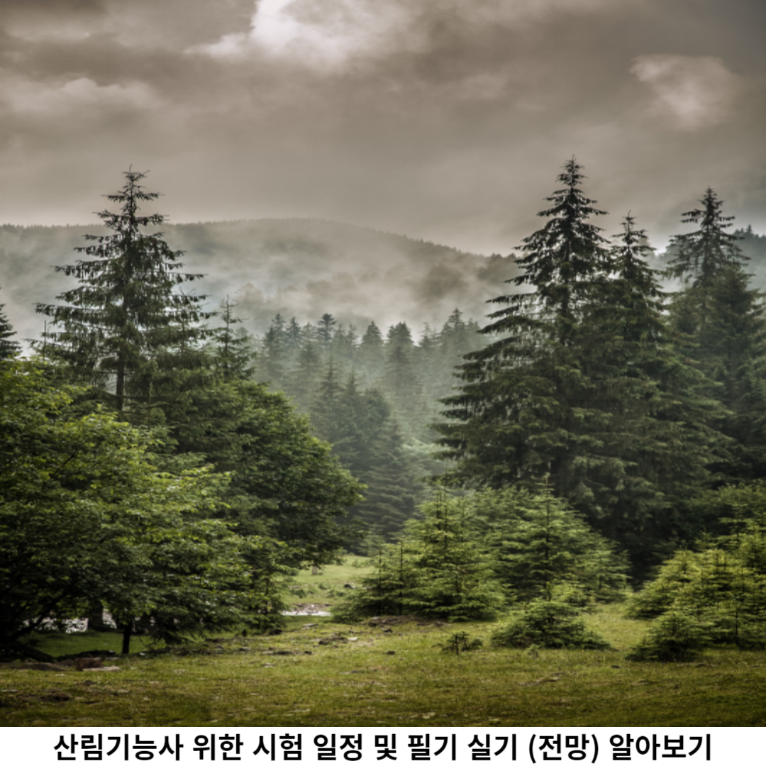 산림기능사 