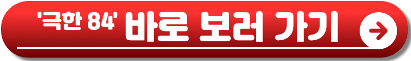 극한84