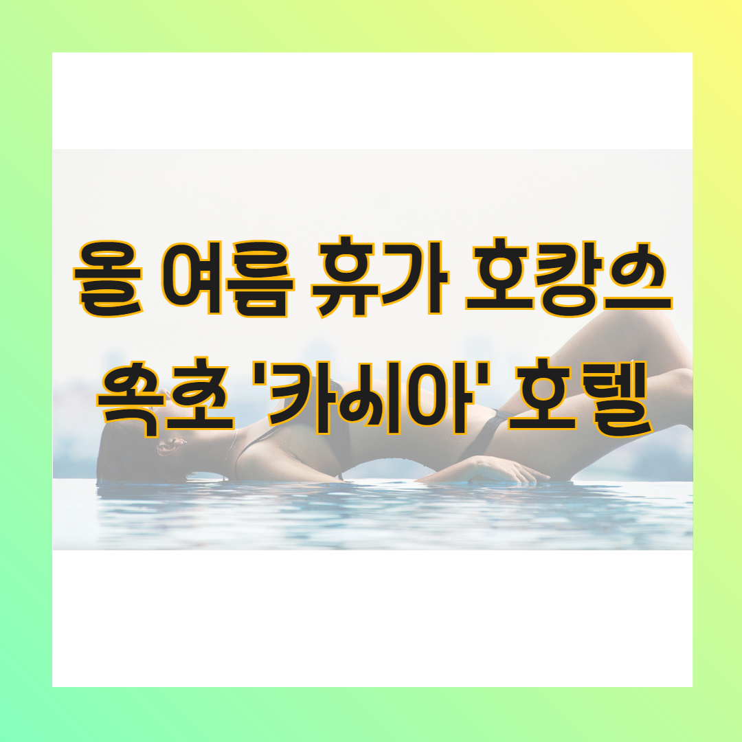 속초 카시아 호텔